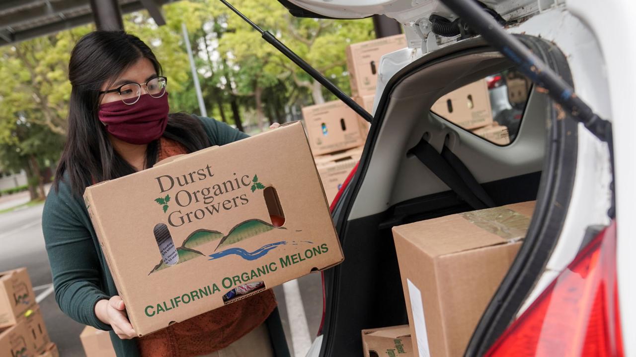 Woman loads box of food into the back of an SUV