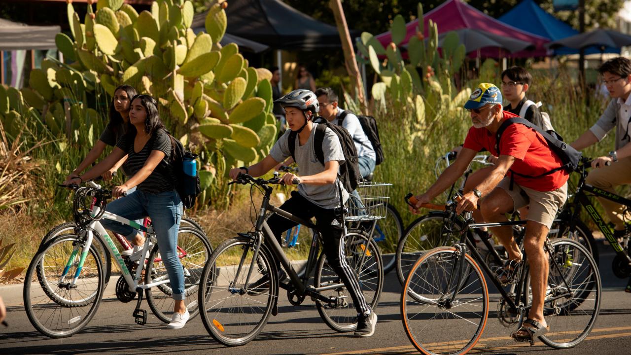 Bicyclists on campus