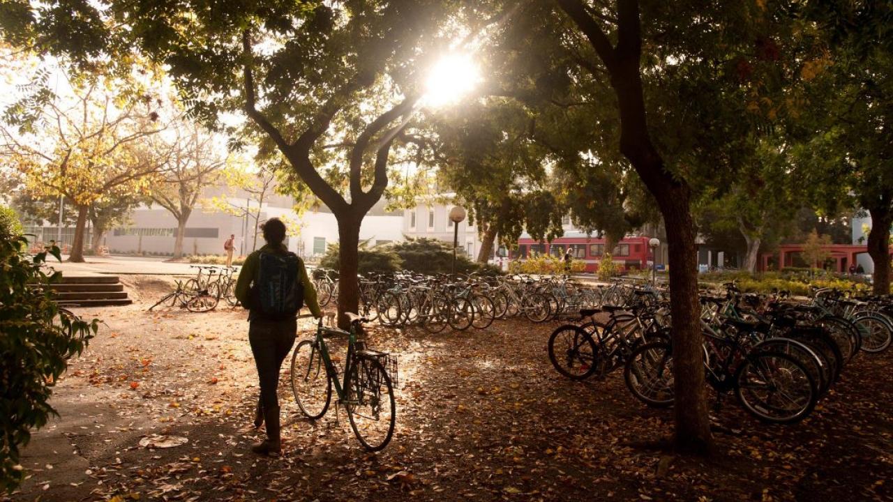 A student walks to park her bike at UC Davis
