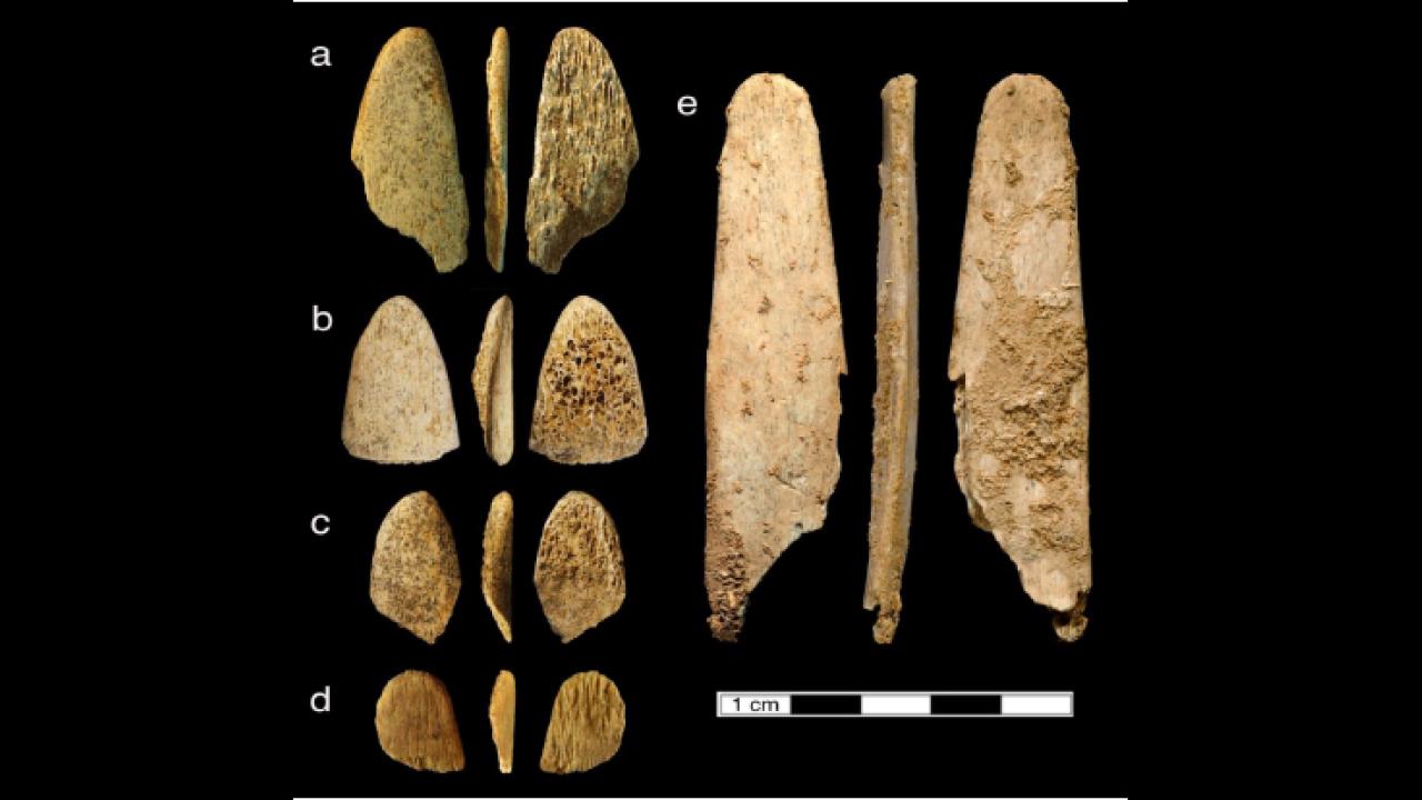 A collection of stone age tools