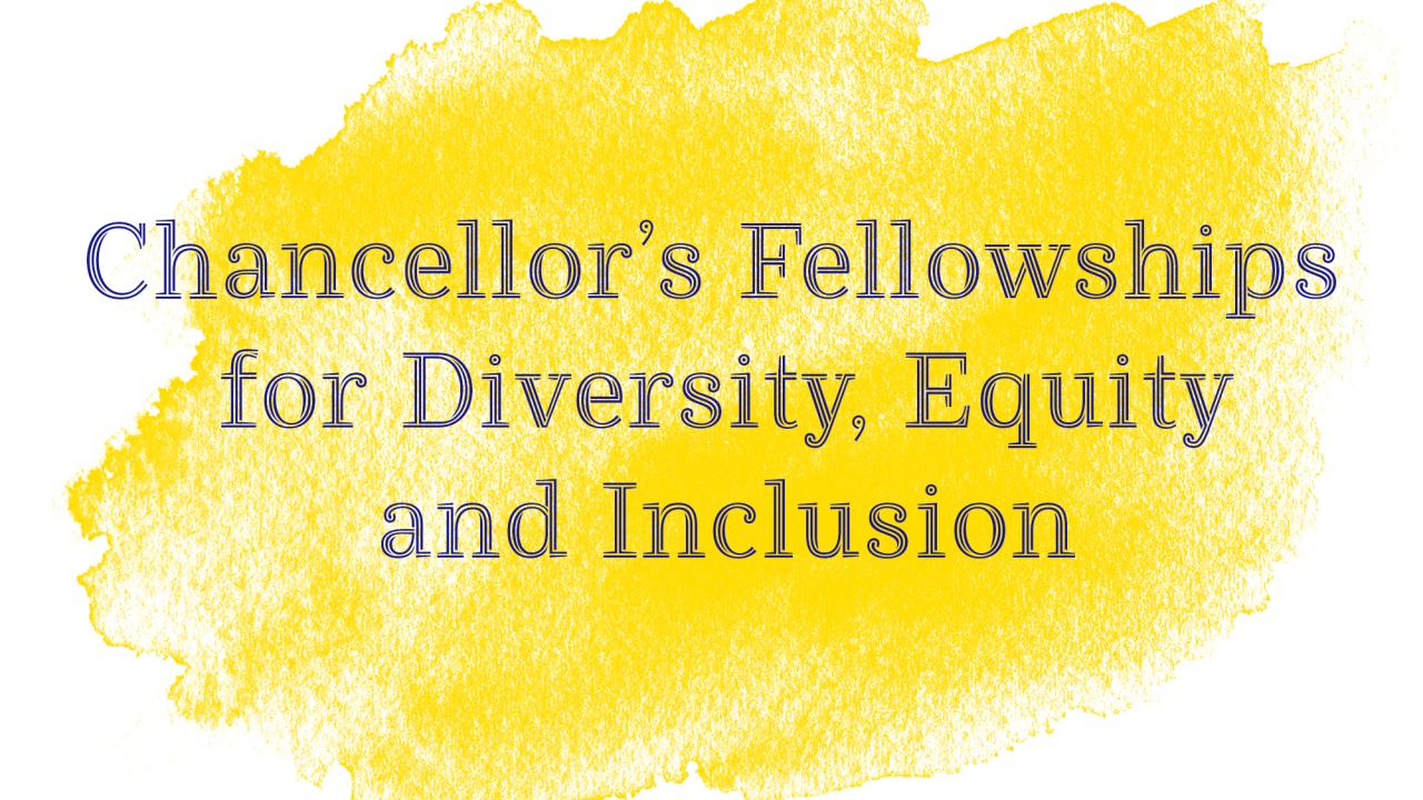 "Chancellor's Fellowships for Diversity, Equity and Inclusion" on sunflower splotch of color
