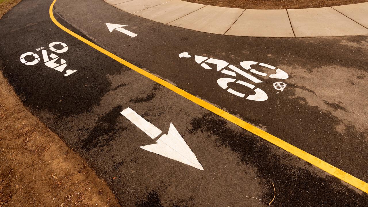 bike lanes pointing in different directions