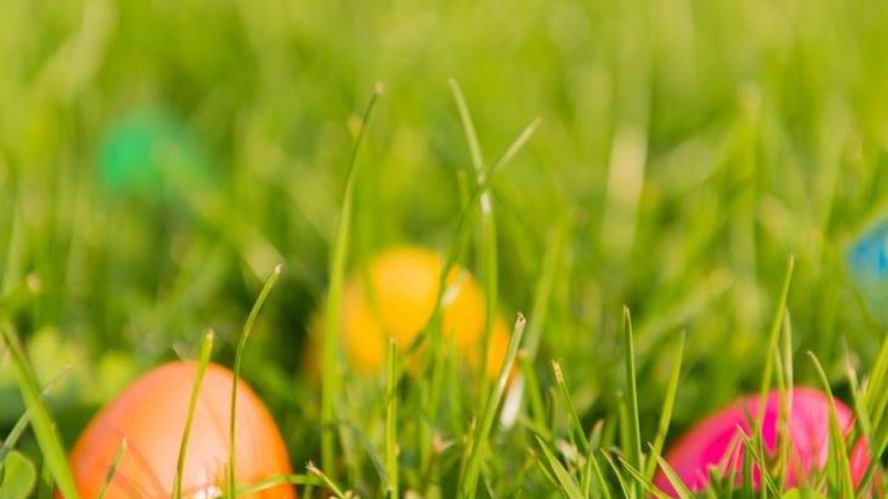 Easter eggs partially hidden in the grass
