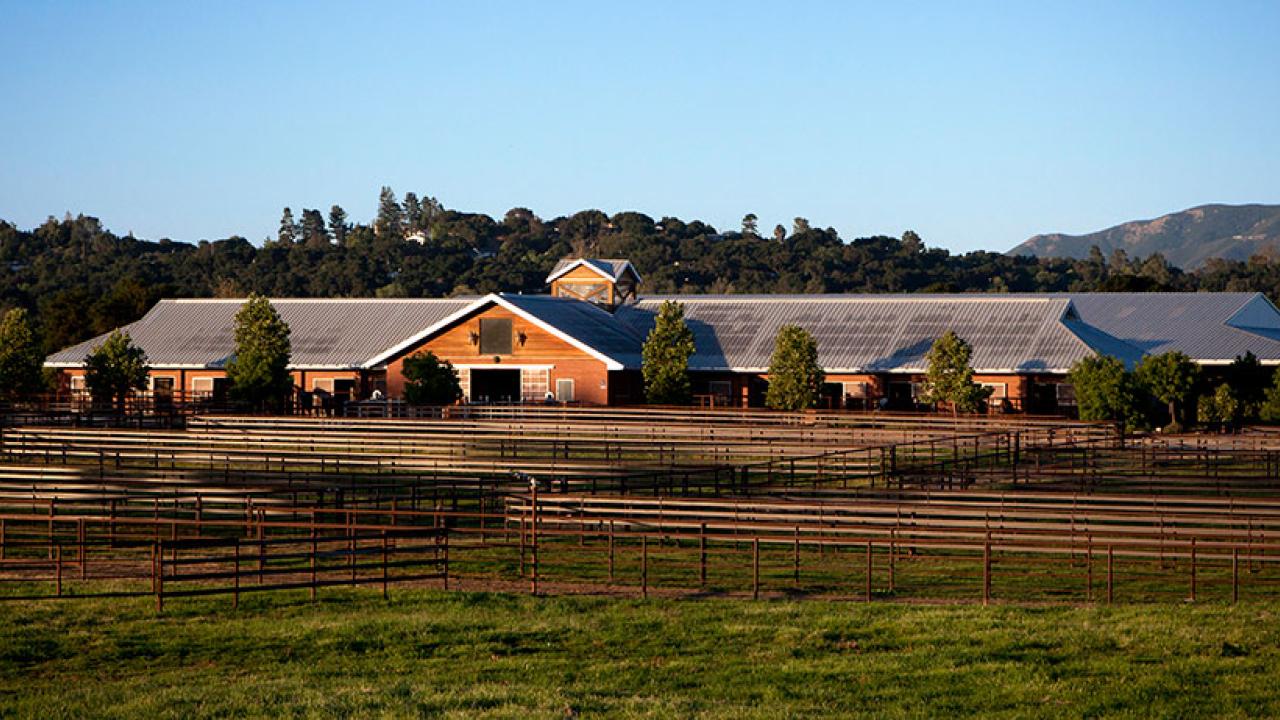 UC Davis Equine Veterinary Program to Expand With Donation of Templeton Farms