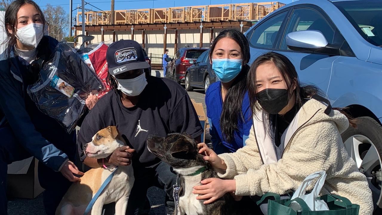 Volunteers present holiuday gift bags to two dogs.