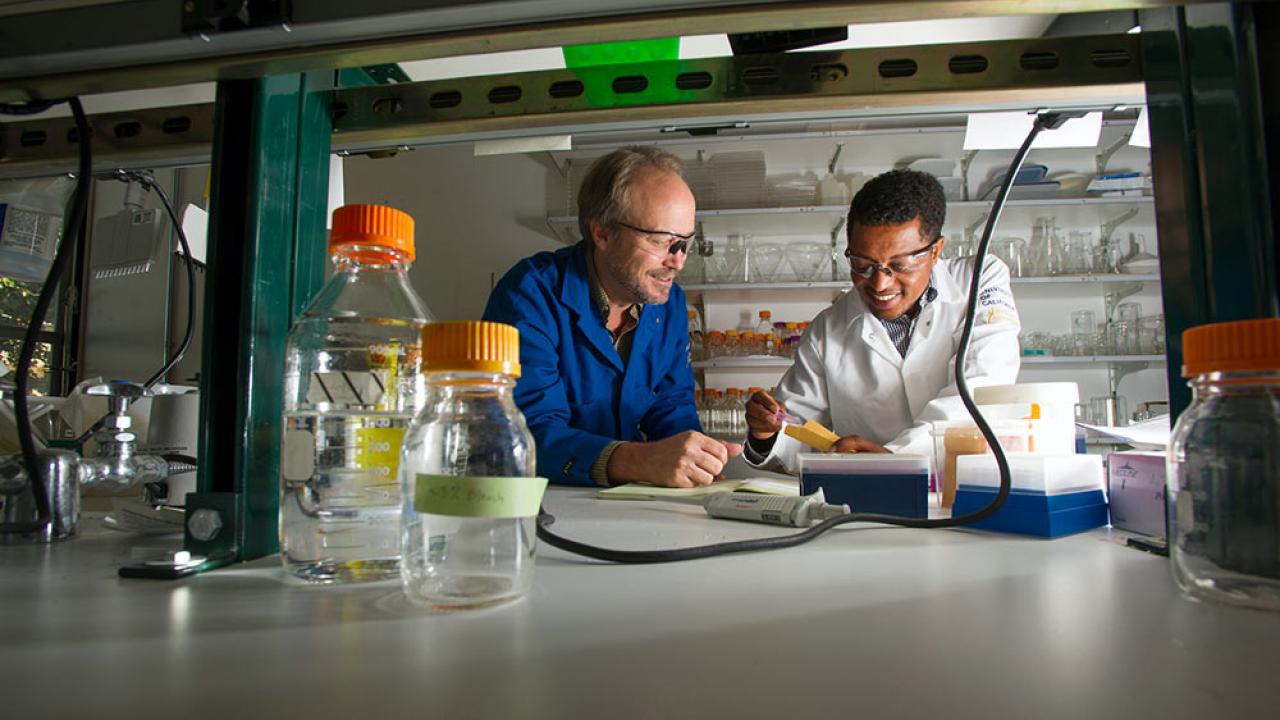 Two male researchers investigate their results in a lab