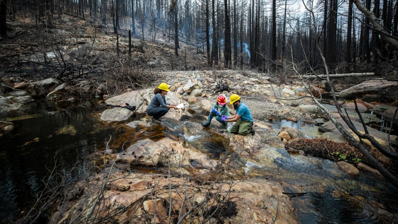 Three researchers, kneeling beside a stream running through a rocky outcropping in a forest, collccting stream water samples,