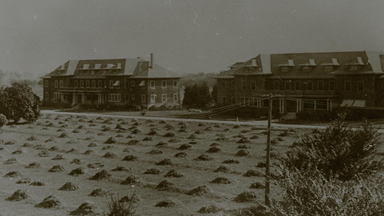 UC davis quad covered in haystacks circa 1910