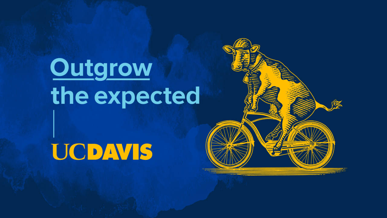 Cow rides bicycle with text "Outgrow the Expected" and UC Davis logo