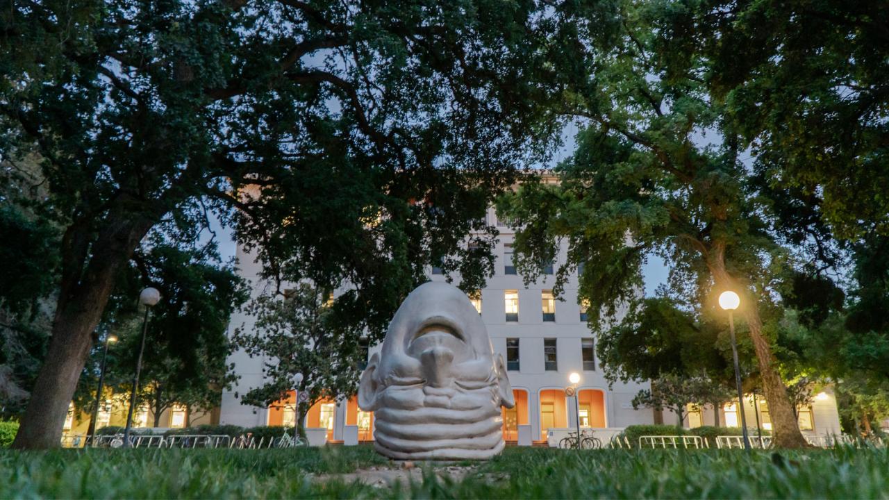 A view of an egghead sculpture in front of Mrak Hall surrounded by cork oaks.