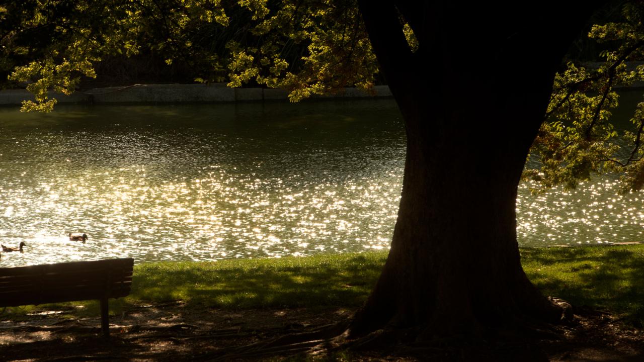 Sun's reflection on Lake Spafford