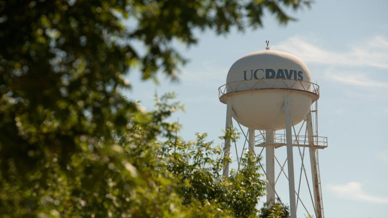 "UC Davis" water tower. foliage in foreground
