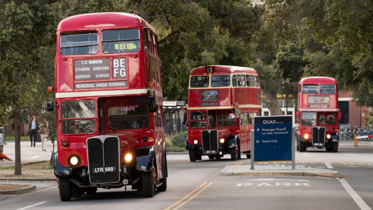 Three vintage double-decker buses at start of parade