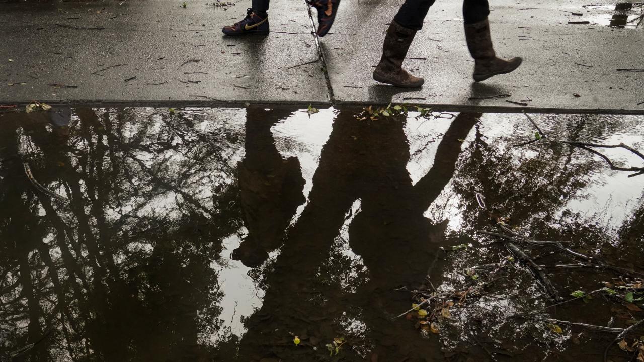Legs (only) reflected in puddle