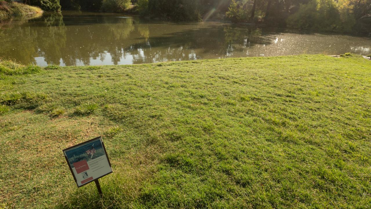 Arboretum Waterway in background, sign in foreground