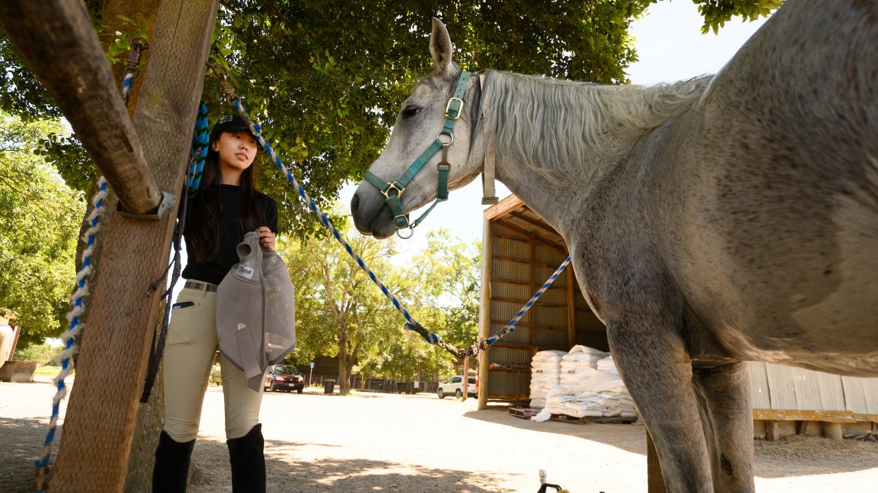 A student leads a horse at a barn. 