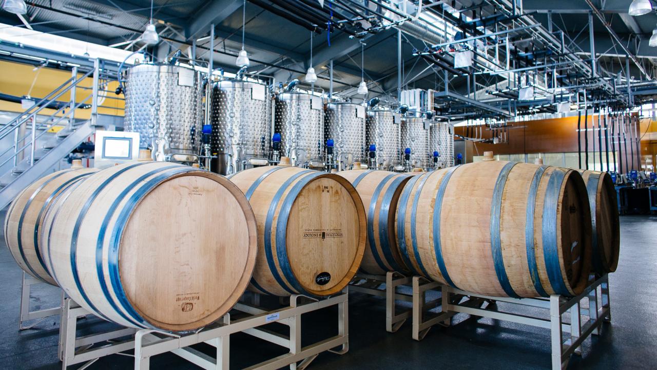 $4 Million Endowment Bolsters UC Davis Viticulture and Enology - Vimarsana News
