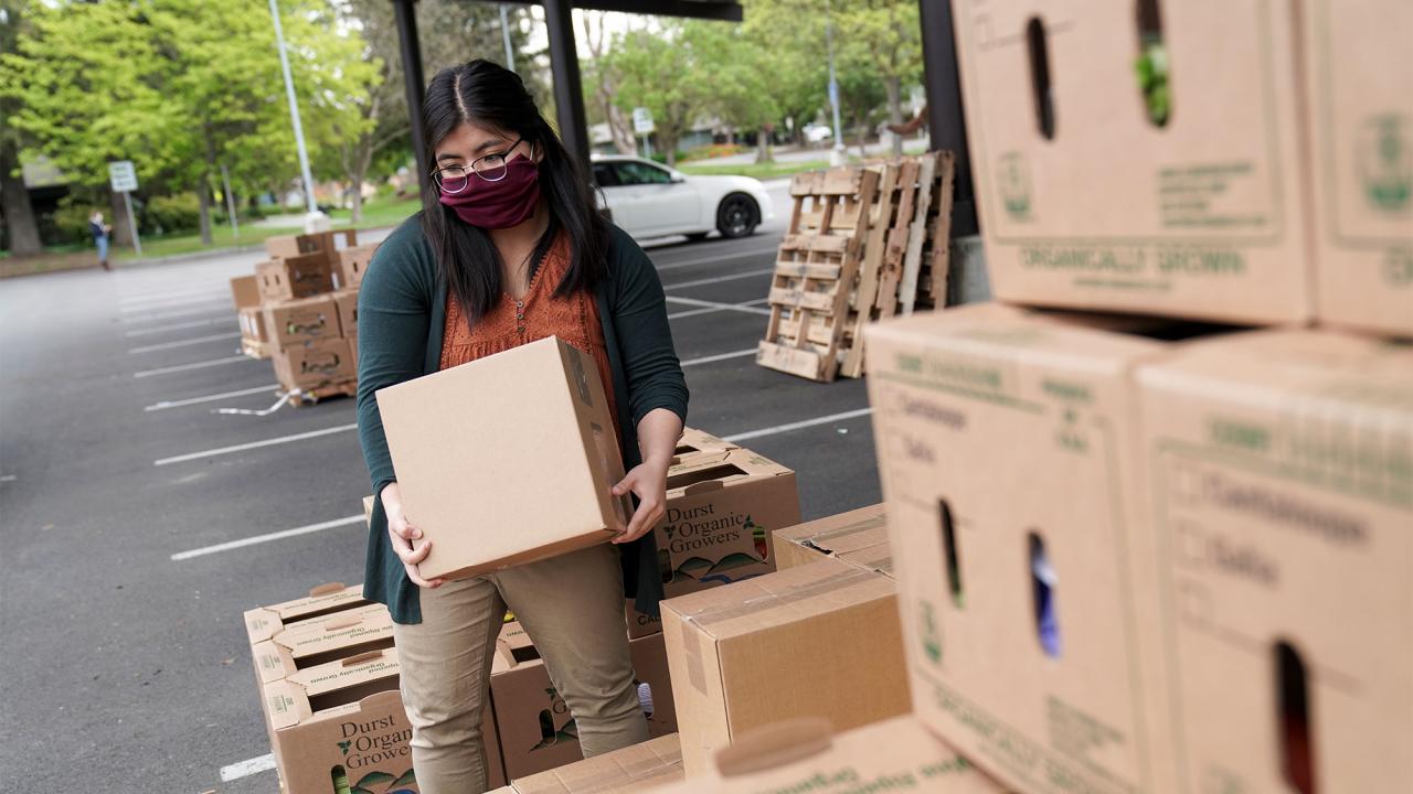 A student loads boxes of food for delivery to seniors during the pandemic.