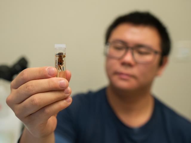 Student holds up a vial with an insect in it