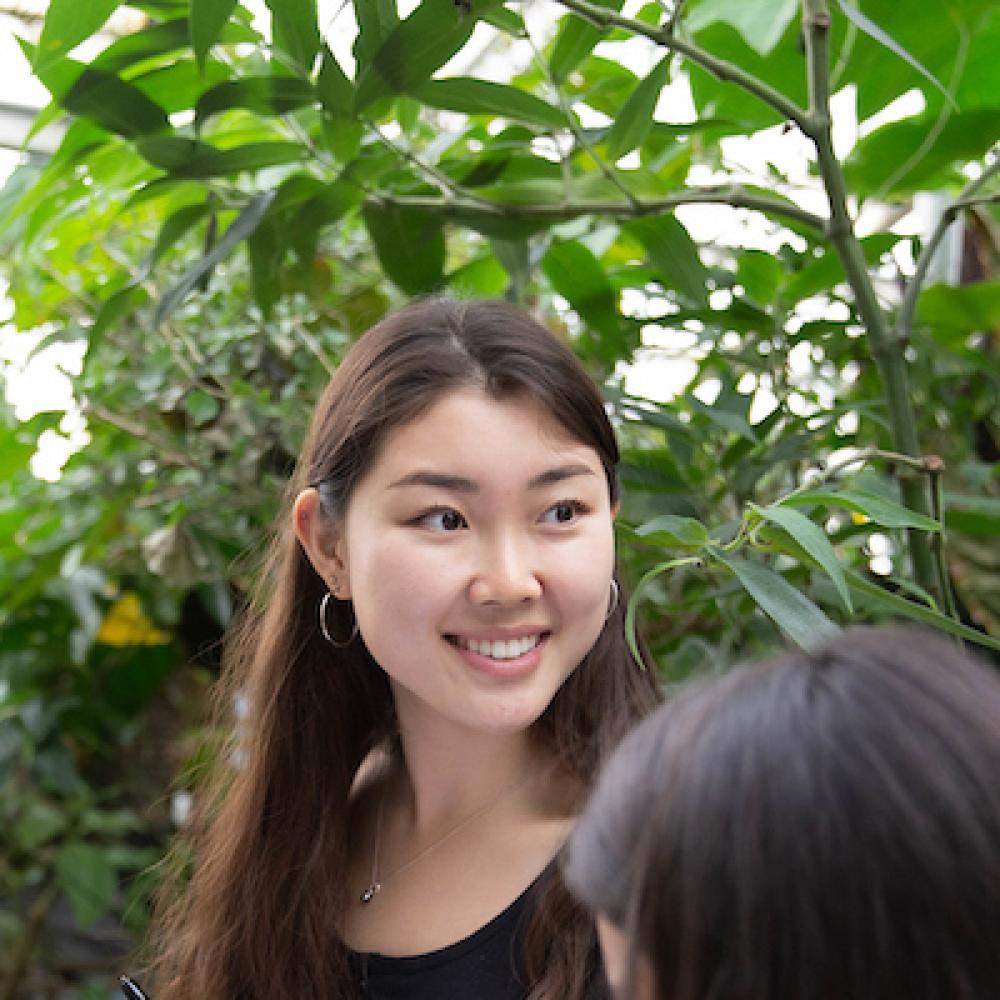 Students smile in a botanical garden at UC Davis. 