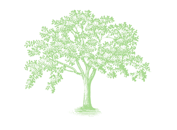 Light green illustration of a large leafy tree on white background.