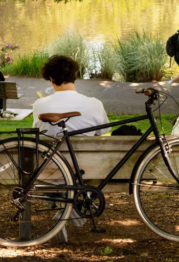 Black bicycle in foreground of sunlit park; UC Davis students studying by a pond in the Arboretum