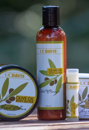 Olive oil gift set