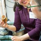 Handling an abalone to examine its shell