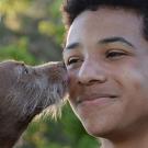 Dog kissing a boy