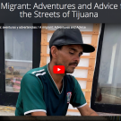 Migrant video