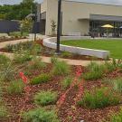 New pet-friendly garden with a veterinary medicine building in the background