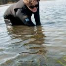 A scientist reaches into a bed of seagrass in Bodega Bay