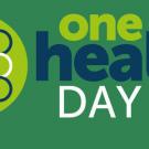 Graphic showing international One Health Day on Nov. 3