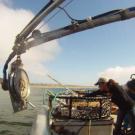 A woman hauls gear on a crab fishing boat at sea