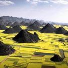 Photo: Golden fields with various hills
