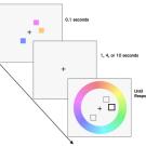 Parts of the test: Tiny colored boxes. Then, one of the tiny boxes is highlighted (but without its color), inside a color wheel.