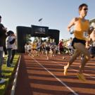 Run for Your Lives, at Toomey Field