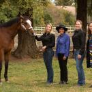Al By Myself, a horse donated to UC Davis