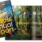 Annual report composite: cover and "Innovation for Your World" two-page spread.