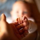 Baby grasps an adult's finger.