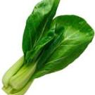 Photo: bok choy