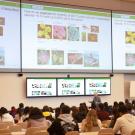 Massive screens show colorful slides in "Introduction to Biology" class.