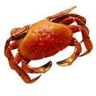 photo: crab