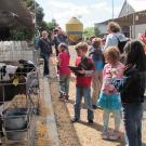 Photo: Children visiting calves at Dairy Barn.