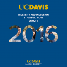 The cover for the Diversity and Inclusion Strategic Plan draft.