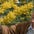 Eric Conn, environmental portrait with blooming acacia (yellow)