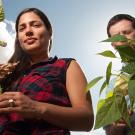 Woman holding a wilted bean plant and man holding a healthy one