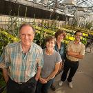 Four people standing in a greenhouse filled with lettuce plants