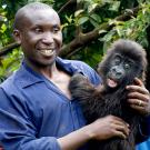 Photo: man holding baby gorilla