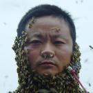 Beekeeper Sh&eacute; Zu&#335; B&#299;n with bees